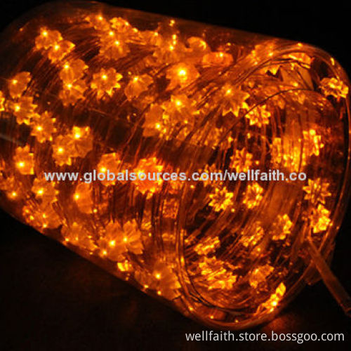 LED Decoration Outdoor Lighting